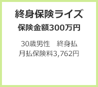 終身保険ライズ(保険金額300万円 30歳男性 終身払 月払保険料3,762円)＋